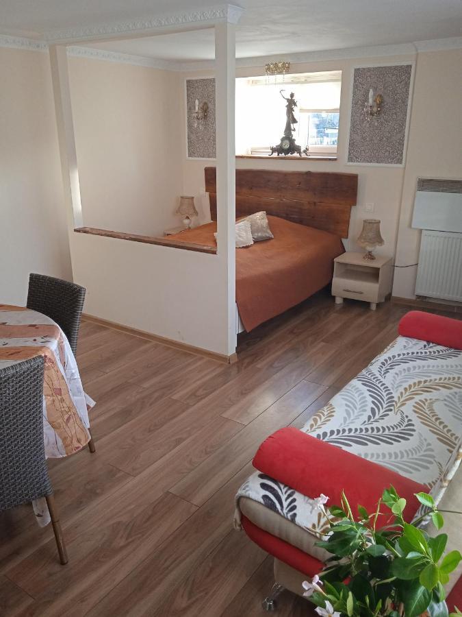 Zamek Ksiaz - 15 Minut 503-608-088 Appartement Stare Bogaczowice Buitenkant foto